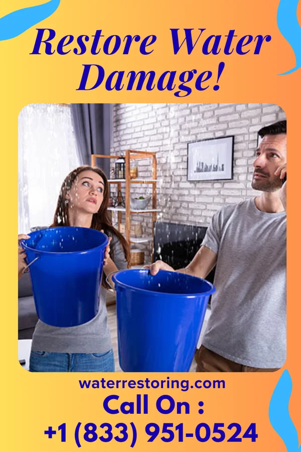 water restoration Vigilant Water Mitigation & Sons Wimauma